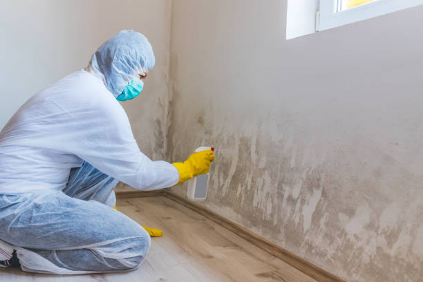 Commercial Mold Remediation assessment for commercial property in Oak Hall