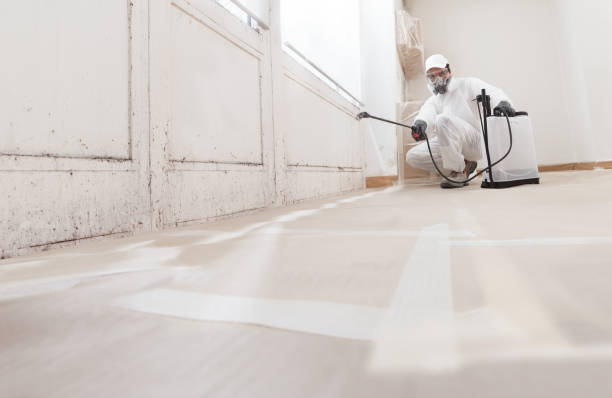 Black mold remediation team in Oak Hall